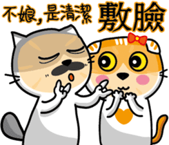 23Meow-What are you doing? sticker #13461597