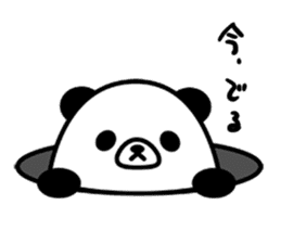 PANDA NO KONBU sticker #13463186