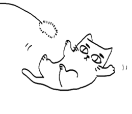 D&C sticker #13463312