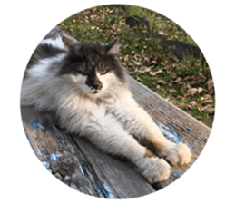 Fluffy Moko-chan sticker #13463336