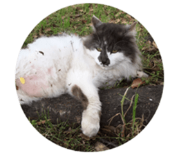 Fluffy Moko-chan sticker #13463338