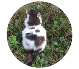 Fluffy Moko-chan sticker #13463339