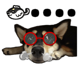 Handsome dog A TU sticker #13465392