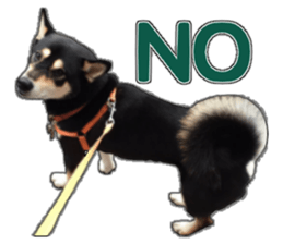 Handsome dog A TU sticker #13465398