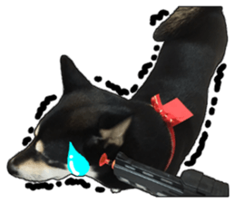 Handsome dog A TU sticker #13465400