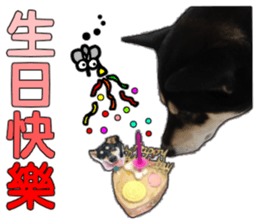 Handsome dog A TU sticker #13465402