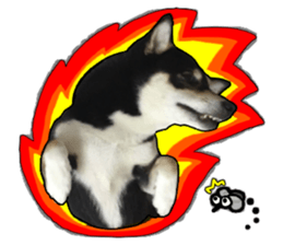 Handsome dog A TU sticker #13465403