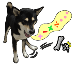 Handsome dog A TU sticker #13465407