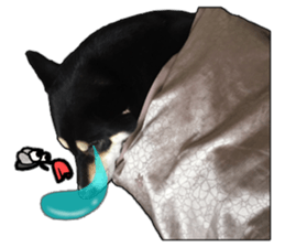 Handsome dog A TU sticker #13465409