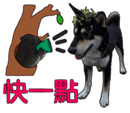 Handsome dog A TU sticker #13465414