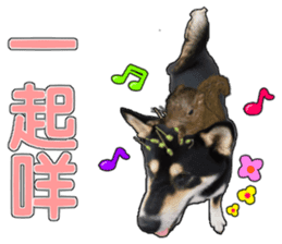 Handsome dog A TU sticker #13465415