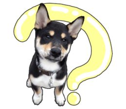 Handsome dog A TU sticker #13465418