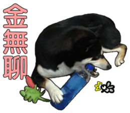 Handsome dog A TU sticker #13465420