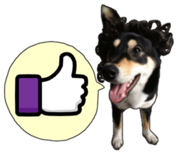 Handsome dog A TU sticker #13465421
