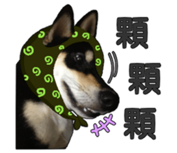 Handsome dog A TU sticker #13465423