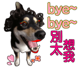 Handsome dog A TU sticker #13465425