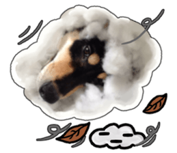 Handsome dog A TU sticker #13465427