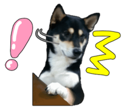 Handsome dog A TU sticker #13465429