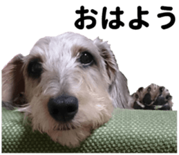 Chuchu's sticker sticker #13469254