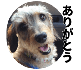 Chuchu's sticker sticker #13469255