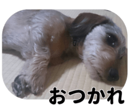 Chuchu's sticker sticker #13469256