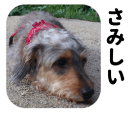 Chuchu's sticker sticker #13469258