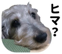 Chuchu's sticker sticker #13469259