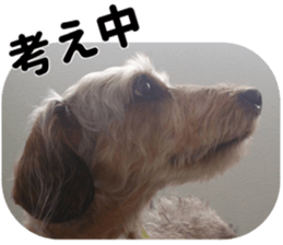 Chuchu's sticker sticker #13469260