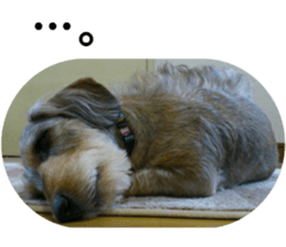 Chuchu's sticker sticker #13469261