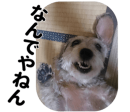 Chuchu's sticker sticker #13469262