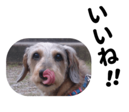 Chuchu's sticker sticker #13469263