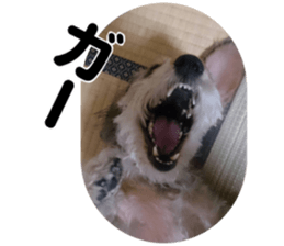 Chuchu's sticker sticker #13469264