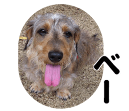 Chuchu's sticker sticker #13469265