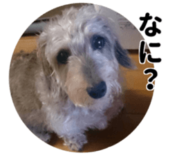 Chuchu's sticker sticker #13469266