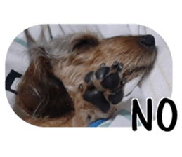 Chuchu's sticker sticker #13469267