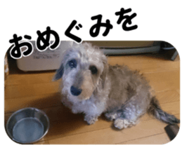 Chuchu's sticker sticker #13469269