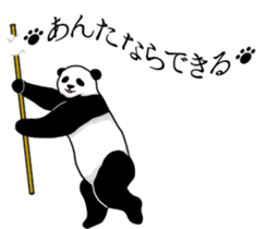 Panda, appeared in the balloon 2 sticker #13469574