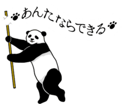 Panda, appeared in the balloon 2 sticker #13469574