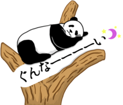 Panda, appeared in the balloon 2 sticker #13469581