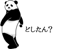 Panda, appeared in the balloon 2 sticker #13469595