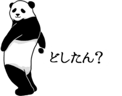 Panda, appeared in the balloon 2 sticker #13469595