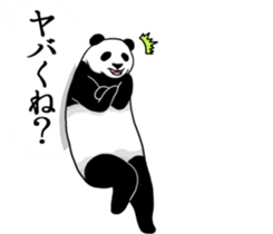 Panda, appeared in the balloon 2 sticker #13469596