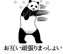 Panda, appeared in the balloon 2 sticker #13469604