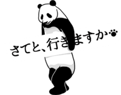 Panda, appeared in the balloon 2 sticker #13469605