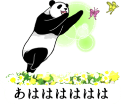 Panda, appeared in the balloon 2 sticker #13469607