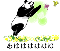 Panda, appeared in the balloon 2 sticker #13469607