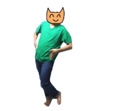 Catman's life sticker #13471190