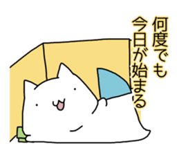 Cat seems to be saying Wise Saying 5 sticker #13472312