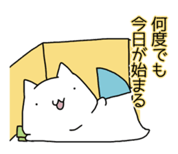 Cat seems to be saying Wise Saying 5 sticker #13472312