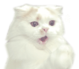 gura-tan sticker #13472449